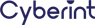 Cyberint logo